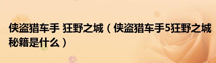 侠盗猎车手 狂野之城（侠盗猎车手5狂野之城秘籍是什么）