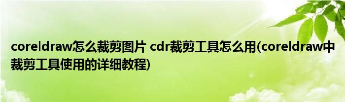 coreldraw怎么裁剪图片 cdr裁剪工具怎么用(coreldraw中裁剪工具使用的详细教程)