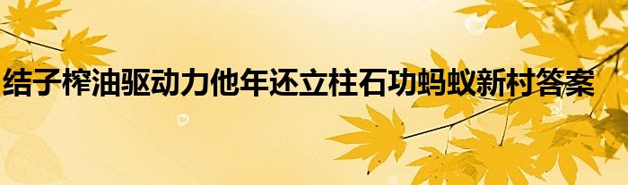 结子榨油驱动力他年还立柱石功蚂蚁新村答案