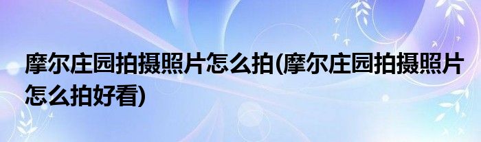 摩尔庄园拍摄照片怎么拍(摩尔庄园拍摄照片怎么拍好看)