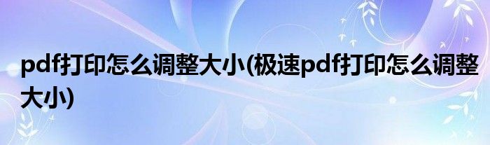 pdf打印怎么调整大小(极速pdf打印怎么调整大小)