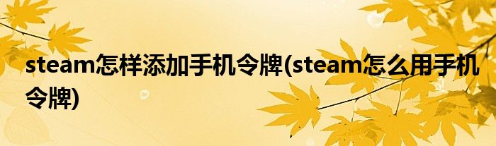 steam怎样添加手机令牌(steam怎么用手机令牌)