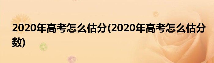 2020年高考怎么估分(2020年高考怎么估分数)