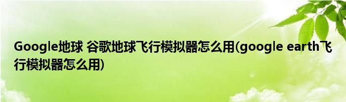 Google地球 谷歌地球飞行模拟器怎么用(google earth飞行模拟器怎么用)