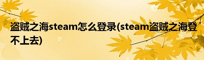 盗贼之海steam怎么登录(steam盗贼之海登不上去)