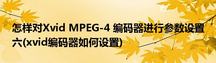 怎样对Xvid MPEG-4 编码器进行参数设置 六(xvid编码器如何设置)