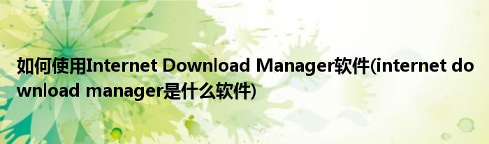 如何使用Internet Download Manager软件(internet download manager是什么软件)