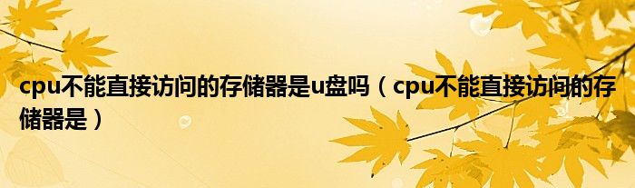 cpu不能直接访问的存储器是u盘吗（cpu不能直接访问的存储器是）