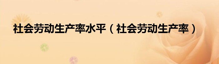 社会劳动生产率水平（社会劳动生产率）