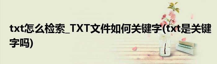 txt怎么检索_TXT文件如何关键字(txt是关键字吗)