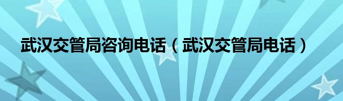 武汉交管局咨询电话（武汉交管局电话）