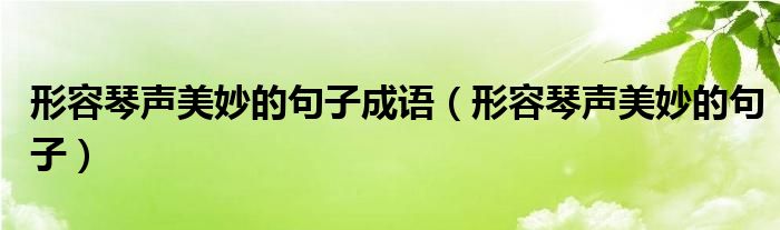 形容琴声美妙的句子成语（形容琴声美妙的句子）