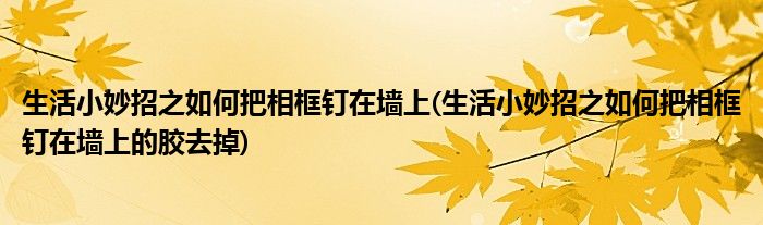 生活小妙招之如何把相框钉在墙上(生活小妙招之如何把相框钉在墙上的胶去掉)