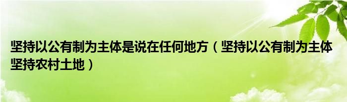 坚持以公有制为主体是说在任何地方（坚持以公有制为主体 坚持农村土地）