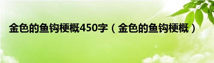 金色的鱼钩梗概450字（金色的鱼钩梗概）