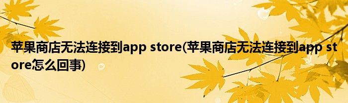 苹果商店无法连接到app store(苹果商店无法连接到app store怎么回事)