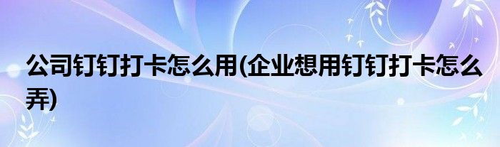 公司钉钉打卡怎么用(企业想用钉钉打卡怎么弄)