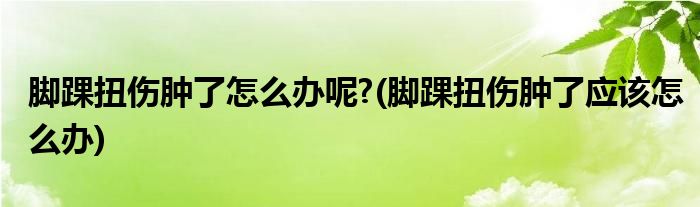 脚踝扭伤肿了怎么办呢?(脚踝扭伤肿了应该怎么办)