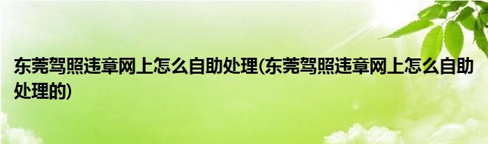 东莞驾照违章网上怎么自助处理(东莞驾照违章网上怎么自助处理的)