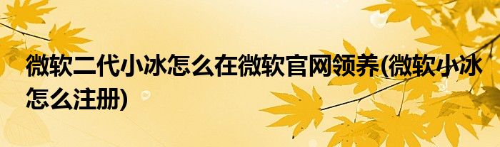 微软二代小冰怎么在微软官网领养(微软小冰怎么注册)