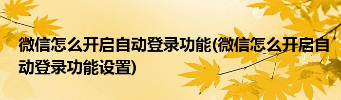 微信怎么开启自动登录功能(微信怎么开启自动登录功能设置)