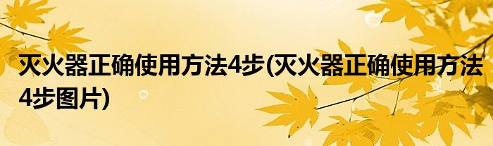 灭火器正确使用方法4步(灭火器正确使用方法4步图片)