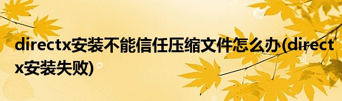 directx安装不能信任压缩文件怎么办(directx安装失败)