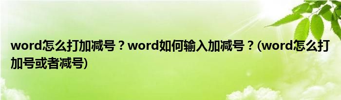 word怎么打加减号？word如何输入加减号？(word怎么打加号或者减号)
