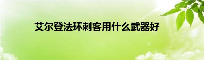 艾尔登法环刺客用什么武器好