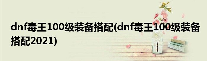 dnf毒王100级装备搭配(dnf毒王100级装备搭配2021)