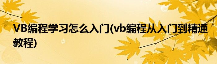 VB编程学习怎么入门(vb编程从入门到精通教程)