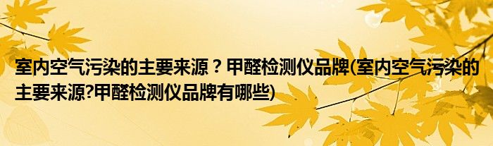 室内空气污染的主要来源？甲醛检测仪品牌(室内空气污染的主要来源?甲醛检测仪品牌有哪些)