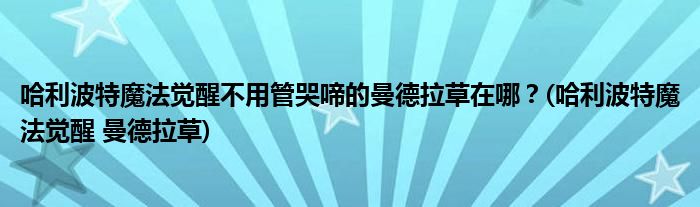 哈利波特魔法觉醒不用管哭啼的曼德拉草在哪？(哈利波特魔法觉醒 曼德拉草)