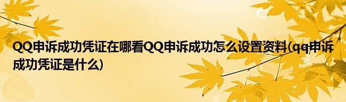 QQ申诉成功凭证在哪看QQ申诉成功怎么设置资料(qq申诉成功凭证是什么)