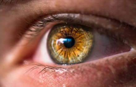 视神经再生技术为未来青光眼治疗带来希望