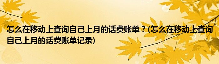 怎么在移动上查询自己上月的话费账单？(怎么在移动上查询自己上月的话费账单记录)