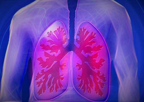 研究人员开发了优先考虑肺移植候选者的新模型