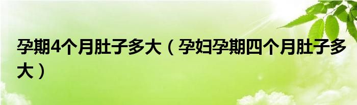 孕期4个月肚子多大（孕妇孕期四个月肚子多大）