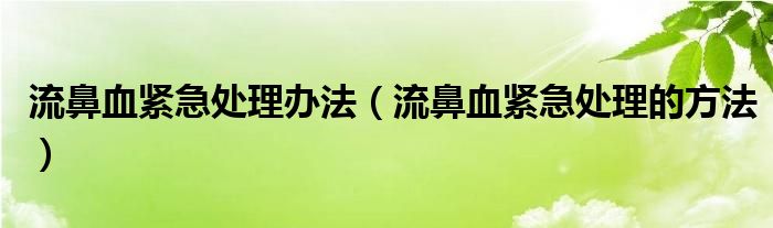 流鼻血紧急处理办法（流鼻血紧急处理的方法）