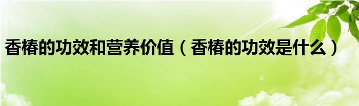 香椿的功效和营养价值（香椿的功效是什么）