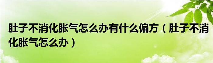 肚子不消化胀气怎么办有什么偏方（肚子不消化胀气怎么办）