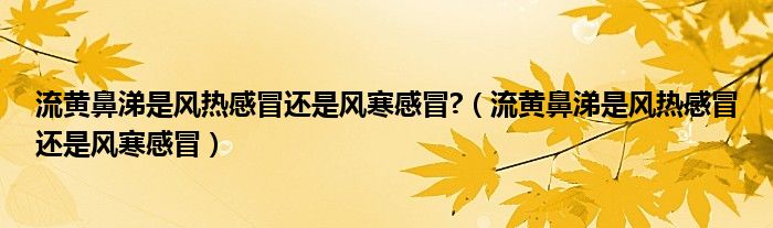 流黄鼻涕是风热感冒还是风寒感冒?（流黄鼻涕是风热感冒还是风寒感冒）