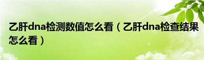 乙肝dna检测数值怎么看（乙肝dna检查结果怎么看）