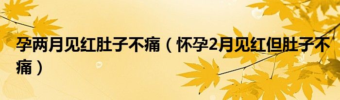 孕两月见红肚子不痛（怀孕2月见红但肚子不痛）