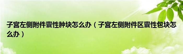 子宫左侧附件囊性肿块怎么办（子宫左侧附件区囊性包块怎么办）