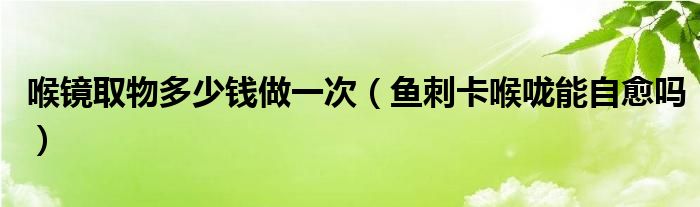 喉镜取物多少钱做一次（鱼刺卡喉咙能自愈吗）