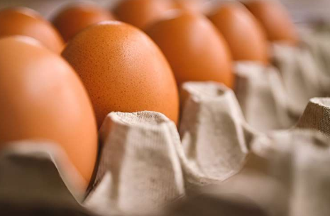 新研究为年轻健康成年人食用鸡蛋的营养影响提供了更广阔的视角