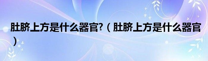 肚脐上方是什么器官?（肚脐上方是什么器官）