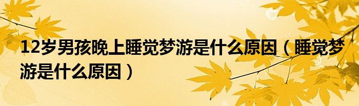 12岁男孩晚上睡觉梦游是什么原因（睡觉梦游是什么原因）