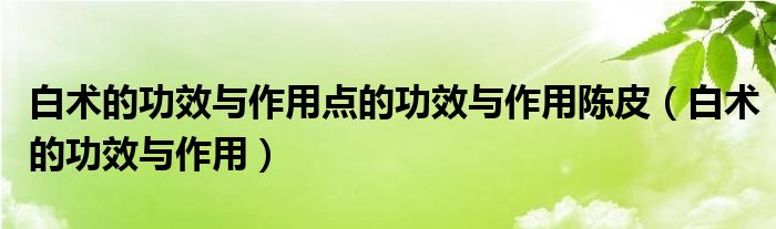 白术的功效与作用点的功效与作用陈皮（白术的功效与作用）